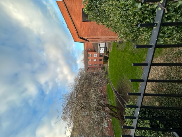 St Paul's Court communal view